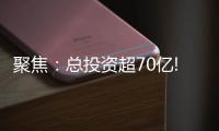 聚焦�：总投资超70亿!三棵树、东方雨虹�、富思特等项目被列为省重点项目