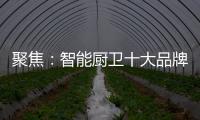 聚焦：智能厨卫十大品牌2020年立足点在哪里?