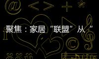 聚焦：家居“联盟”从“现象”变成“刚需”