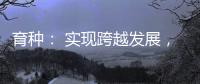 快排公司十年历程，霸屏兔 seo 的崛起与坚守