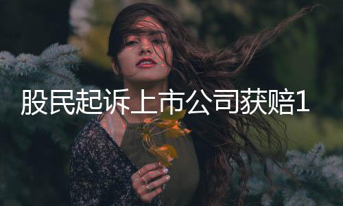 一方是股民公司普通股民