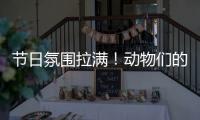 节日氛围拉满！动物们的专属“月饼”都是什么馅的？