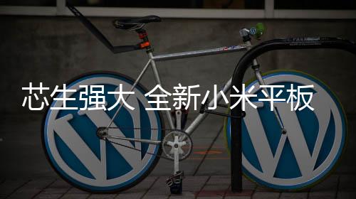 芯生小米重载游戏都能省电