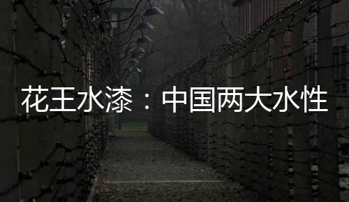 创新能力稳居行业前列