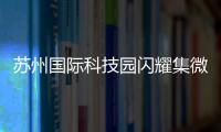 苏州国际科技园闪耀集微大会�，展现千亿级“硬核科技”实力