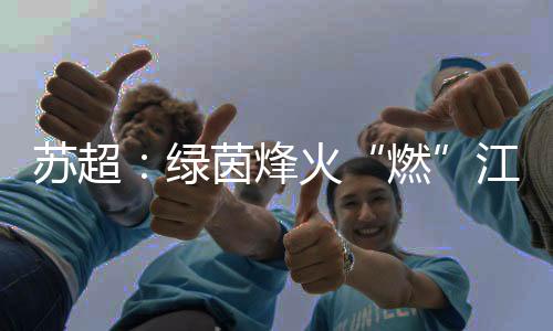 江苏南京队主场对阵苏州队