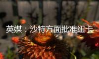 英媒
：沙特方面批准纽卡高价签伊兰加，目标还包括格伊等国脚球员