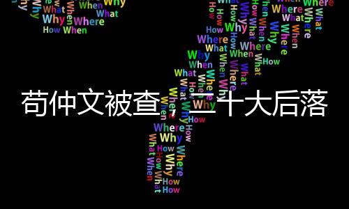 随着苟仲文的文被落马