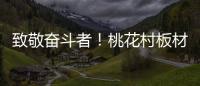 致敬奋斗者！桃花村板材以国标级环保守护每个家