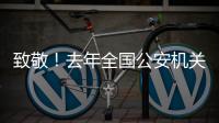 致敬！去年全国公安机关382名民辅警因公牺牲