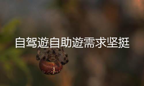 自驾遊和自助遊需求较大