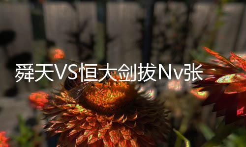 刘建业、冯潇霆、陆Bo飞
、