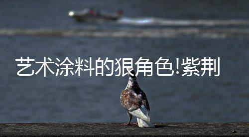为门店带来热度和汇集效应