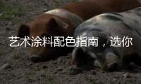 艺术涂料配色指南，选你所爱
，让家显得大气上档次!