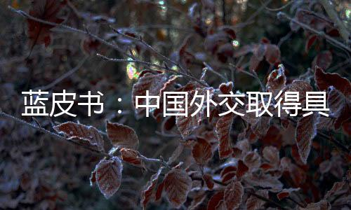 2020年中国外交创新方式