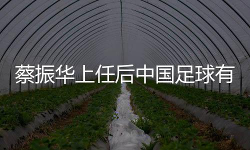 提前7年布局2024年奥运会