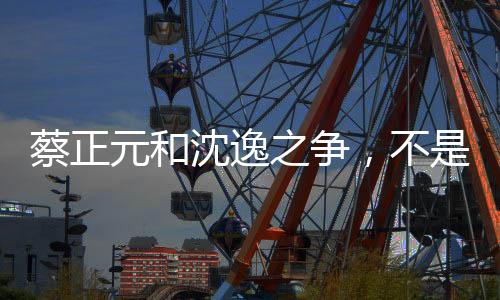 这是沈逸蔡正元的优点