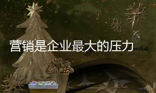 使企业陷入营销困境