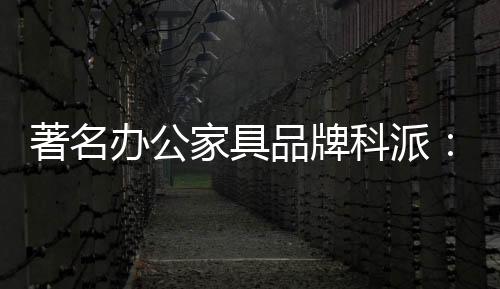 更在于对设计的科派注重