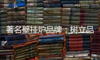 著名壁挂炉品牌�
：树立品牌形象 建立服务体系