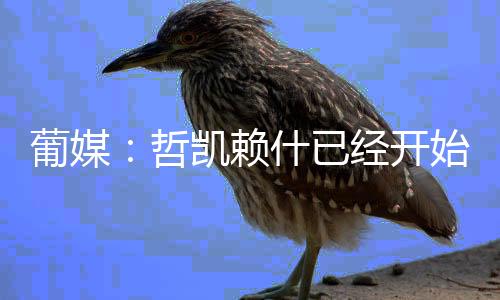 哲凯赖什已经开始打包行李