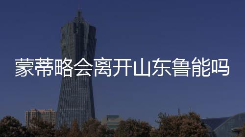 赚取更多的蒙蒂利润