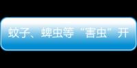 蚊子、蜱虫等“害虫”开始活跃，这份防虫全攻略请收好