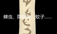 蜱虫、隐翅虫
、蚊子……夏季常见蚊虫如何应对