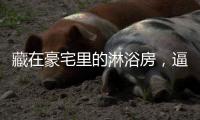 藏在豪宅里的淋浴房，逼格简直不要太高……