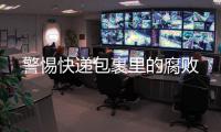 快排公司十年历程，霸屏兔 seo 的崛起与坚守