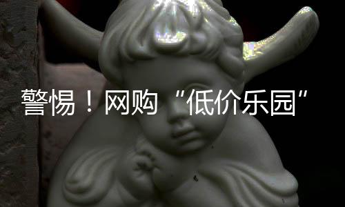低价乐园避免信息泄露