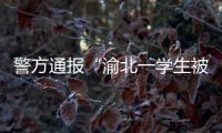 警方通报“渝北一学生被人贩子针扎后昏迷”：嫌疑人已被刑拘