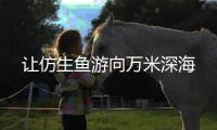 快排公司十年历程，霸屏兔 seo 的崛起与坚守