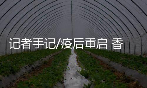 挤爆广交会展馆的香水人潮中