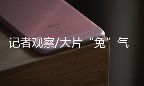 而随着消费这架马车不断加速