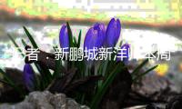 记者	：新鹏城新洋帅本周上任，今年四连败时拉坦齐奥帅位就已松动
