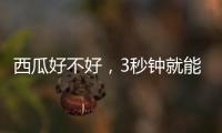 西瓜好不好，3秒钟就能验！验瓜师有啥技巧�？