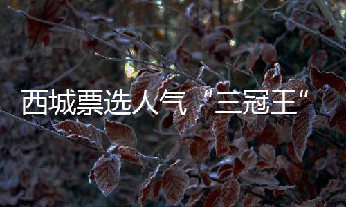 坚守产品主义的票选作品