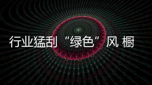 把握环保要做到实事求是绿色