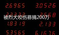 被烈犬咬伤募捐200万争议：医院称未开证明，轻松筹称家属自估金额