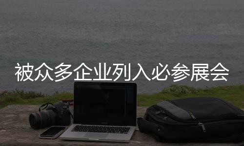 卫展在过去十几年间