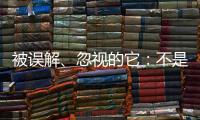 被误解、忽视的它：不是凉拌菜，退化形势严峻｜世界海草日