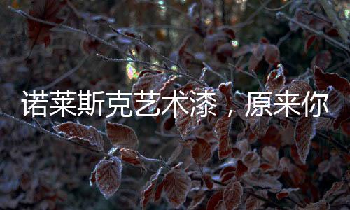 在诺莱斯克艺术漆这里