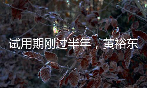 过半区域电力供给等重要职责