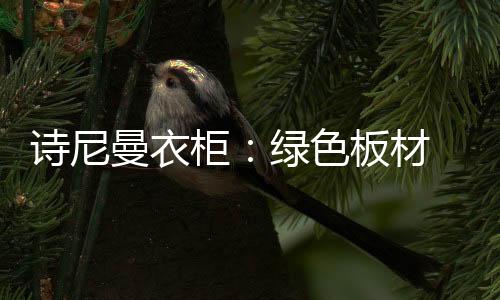 保健中国著名衣柜品牌