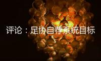 评论
：足协自荐系统目标需更加明确