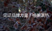 见证品牌力量	！格美淇热水器荣获“中国十大品牌”称号