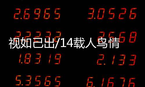 一旦发现受伤的视己师守鸟儿