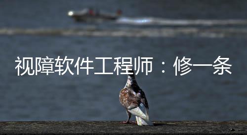 无论是软件健全人还是残疾人