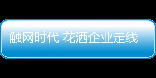 电商可谓风靡了一把